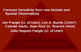 Forecast Sensitivity from new Models and Special Observations Jan Paegle (U. of Utah), Lee A. Byerle (USAF) Celeste Saulo, Juan Ruiz (U. Buenos Aires)