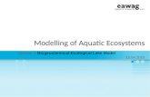 Modelling of Aquatic Ecosystems Exercise 4: Biogeochemical-Ecological Lake Model 15.04.2015.