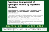 Biochem 230: 25 Oct 2004. Intervention Myostatin Muscle Growth.