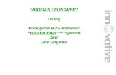 “ BIOGAS TO POWER ” Using Biological H2S Removal “ Bioskrubber ” TM System And Gas Engines.