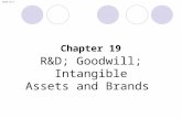 Slide 19.1 R&D; Goodwill; Intangible Assets and Brands Chapter 19.