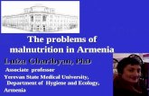 The problems of malnutrition in Armenia Luiza Gharibyan, PhD Associate professor Yerevan State Medical University, Department of Hygiene and Ecology, Armenia.