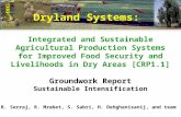 Integrated and Sustainable Agricultural Production Systems for Improved Food Security and Livelihoods in Dry Areas [CRP1.1] Groundwork Report Sustainable.
