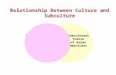 Relationship Between Culture and Subculture Subcultural Traits of Hispanic Americans Dominant Cultural Traits of U.S. Citizens Subcultural Traits of Asian.