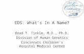 EDS: What’s In A Name? Brad T. Tinkle, M.D., Ph.D. Division of Human Genetics Cincinnati Children’s Hospital Medical Center.