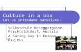 Culture in a box Let us introduce ourselves! Volksschule Roseggergasse Perchtoldsdorf, Austria A Spring Day in Europe Project.