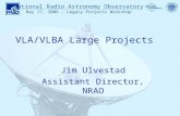 National Radio Astronomy Observatory May 17, 2006 – Legacy Projects Workshop VLA/VLBA Large Projects Jim Ulvestad Assistant Director, NRAO.