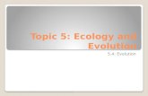 Topic 5: Ecology and Evolution 5.4: Evolution. Evolution slider The Big Bang The Simpsons.