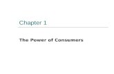 Chapter 1 The Power of Consumers. Bell Ringer  What is a consumer?  Do you think teens are important consumers? Why?