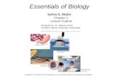 Essentials of Biology Sylvia S. Mader Chapter 2 Lecture Outline Prepared by: Dr. Stephen Ebbs Southern Illinois University Carbondale Copyright © The McGraw-Hill.