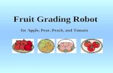 Fruit Grading Robot for Apple, Pear, Peach, and Tomato.