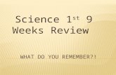 Science 1 st 9 Weeks Review.  Review  Slides 3- 42.