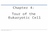 Chapter 4: Tour of the Eukaryotic Cell © 2012 Pearson Education, Inc.