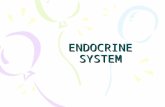ENDOCRINE SYSTEM. Hormones Self-regulating system Production –Extremely small amounts –Highly potent Affect: –Growth –Metabolism –Behavior Two categories: