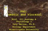 PNS: Somatic and Visceral Biol. 211 Anatomy & Physiology 1 Tony Serino, Ph.D. Biology Department Misericordia University.