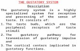 THE GUSTATORY SYSTEM Description The gustatory system is a highly specialized system for reception and processing of the sense of taste. It consists of: