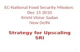 EC-National Food Security Mission: Dec 15 2010 Krishi Vistar Sadan New Delhi Strategy for Upscaling SRI 1.