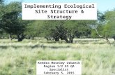 Implementing Ecological Site Structure & Strategy Kendra Moseley Urbanik Region 1/2 ES QA Specialist February 5, 2015.
