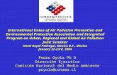 International Union of Air Pollution Prevention and Environmental Protection Association and Integrated Program on Urban, Regional and Global Air Pollution.