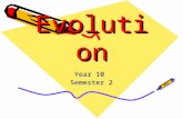 EvolutionEvolution Year 10 Semester 2. Introduction 1.How old is the universe? About 15 billion years since Big Bang. 2.How old is the Earth? About 4.5.