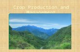 Crop Production and Management What is crop? When plants of the same kind are grown and cultivated at one place on a large scale, it is called a crop.