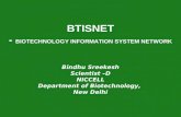 BTISNET - BIOTECHNOLOGY INFORMATION SYSTEM NETWORK Bindhu Sreekesh Scientist –D NICCELL Department of Biotechnology, New Delhi.