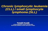Chronic lymphocytic leukemia (CLL) / small lymphocyte lymphoma (SLL) Tomáš Kozák Lecture, pregradual, summer semester 2013 3rd Faculty of Medicine, Charles.
