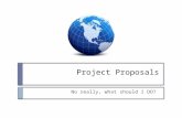 Project Proposals No really, what should I DO?. Simplistic GIS models … Perhaps it will help to review what we’ve really been doing!