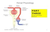 Renal Physiology 1 PART THREE Renal Acid-Base Balance.