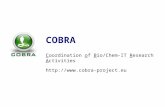 COBRA Coordination of Bio/Chem-IT Research Activities .