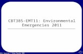 © 2011 Seattle / King County EMS CBT385-EMT11: Environmental Emergencies 2011