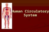 Human Circulatory System. Structure and Function Lesson 1.
