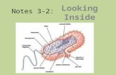 Notes 3-2: Looking Inside Cells. Cells have a job! Your cells have many jobs to do. The main job of the cell is to make proteins, which will be used in.