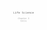 Life Science Chapter 3 Cells. Bellwork What do you know about cells?