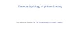 The ecophysiology of phloem loading Key reference: Factfile # 8: The Ecophysiology of Phloem Loading.