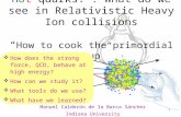 1 Hot quarks! : What do we see in Relativistic Heavy Ion collisions “ How to cook the primordial soup” Manuel Calderón de la Barca Sánchez Indiana University.