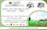WHERE LIES THE WEALTH FOR SUPPLIERS - SMMEs Presented by Carol Nkambule 03 February 2011 1 st Limpopo Provincial Supply Chain Management Summit.