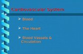 Cardiovascular System  Blood  The Heart  Blood Vessels & Circulation.