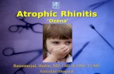 Atrophic Rhinitis ’Ozena’ Bastaninejad, Shahin, MD, ORL & HNS, TUMS Amiralam Hospital.