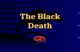 The Black Death. Key questions There are 3 questions that will be asked during the course of the lesson; 1.What is the “Black Death”? 2.What caused the.