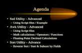 Agenda Sed Utility - Advanced –Using Script-files / Example Awk Utility - Advanced –Using Script-files –Math calculations / Operators / Functions –Floating.