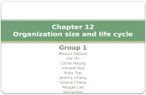 Chapter 12 Organization size and life cycle Group 1 Marcus Depaul Ula Ou Carrie Haung Vincent Kuo Ruby Tsai Jeremy Chang Serena Chang Maggie Lee Samantha.