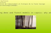 Coupling deer and forest models in capsis: why and how? Tanguy Daufresne INRA Toulouse Laboratoire de Comportement et Ecologie de la Faune Sauvage (Behaviour.