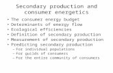 Secondary production and consumer energetics The consumer energy budget Determinants of energy flow Ecological efficiencies Definition of secondary production.