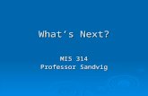 What’s Next? MIS 314 Professor Sandvig. Outline  What’s Next? ISC tracks ISC tracks E-commerce developer track E-commerce developer track MIS 324 - Intermediate.