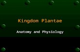 Kingdom Plantae Anatomy and Physiology. Plant Structure o Plant cells, like those of animals, are arranged into tissues and organs.