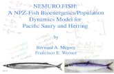 NEMURO.FISH: A NPZ-Fish Bioenergetics/Population Dynamics Model for Pacific Saury and Herring by Bernard A. Megrey Francisco E. Werner.