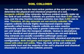 The soil colloids are the most active portion of the soil and largely determine the physical and chemical properties of a soil. Inorganic colloids (clay.