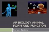 AP BIOLOGY ANIMAL FORM AND FUNCTION Immune System.