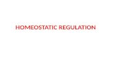 HOMEOSTATIC REGULATION. Learning Objectives Explain homeostasis Discuss the relationship between external and internal environments List the main body.